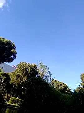 hotCOUPLEPETRA online show from 14, 4, 2026