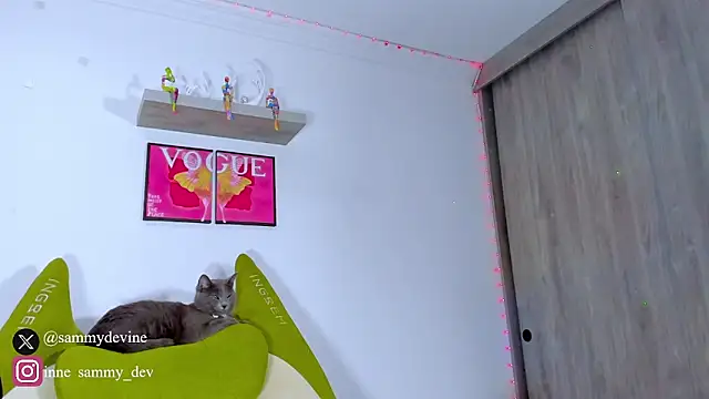 sammy devinne online show from 12, 3, 2026