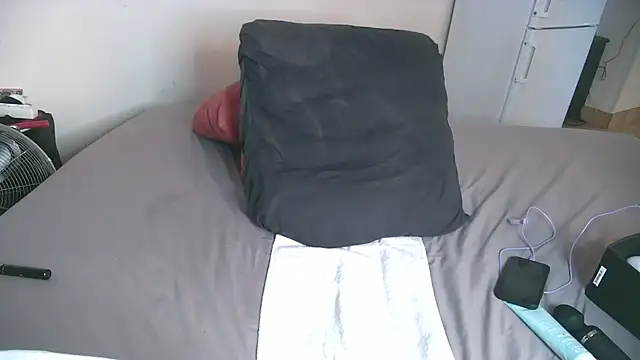 Snapshot of Violett3333 chatting on 24, 10, 2025 Violett3333 online show from 24, 10, 2025