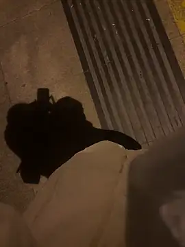 xiaoyuan01 online show from 6, 1, 2026