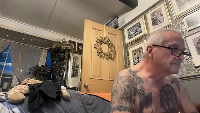 poggles online show from 31, 3, 2026