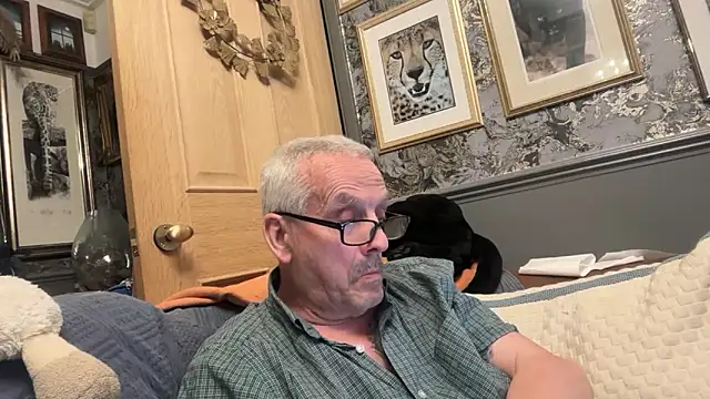 poggles online show from 3, 4, 2026