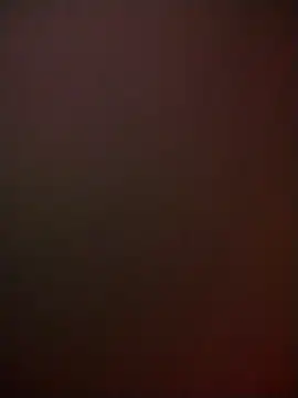 Dolce pearl online show from 7, 2, 2026