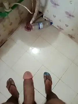 zim200 online show from 29, 3, 2026