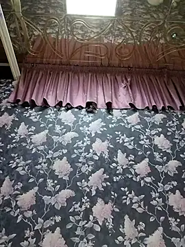 Dari Toy  online show from 2, 12, 2025