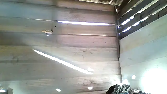 srtsara online show from 15, 4, 2026