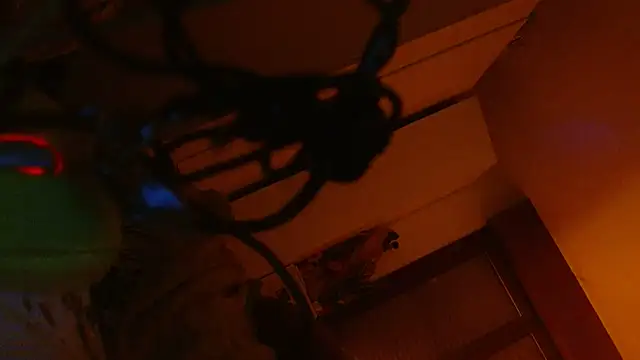 refem9 online show from 10, 2, 2026