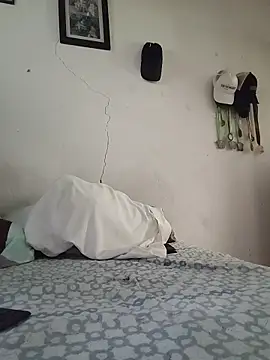 jacobs shelby online show from 31, 3, 2026