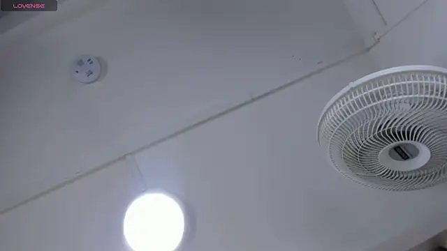 VICTORIAGRAYS online show from 11, 10, 2025