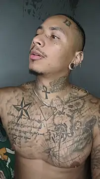 David tatto1 online show from 13, 3, 2026