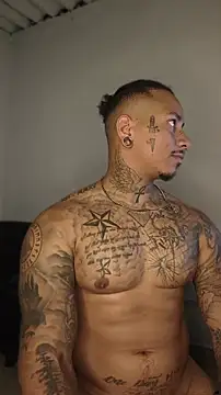 David tatto1 online show from 31, 5, 2026