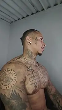 David tatto1 online show from 15, 5, 2026