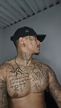 David tatto1 online show from 17, 6, 2026