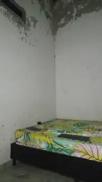 David tatto1 online show from 2, 4, 2026