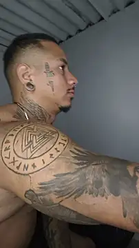 David tatto1 online show from 9, 7, 2026