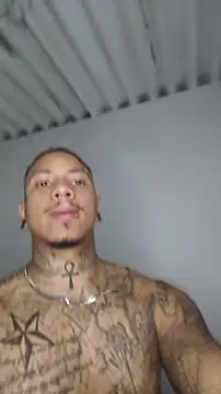 David tatto1 online show from 30, 5, 2026