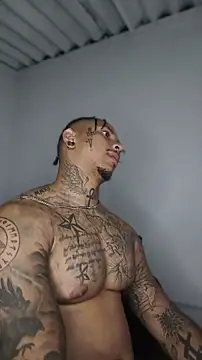 David tatto1 online show from 3, 6, 2026