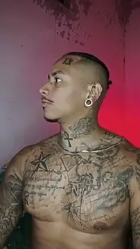 David tatto1 online show from 13, 2, 2026