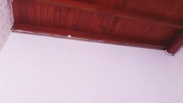 Snapshot of celeste_moonx chatting on 10, 10, 2025 celeste moonx online show from 10, 10, 2025