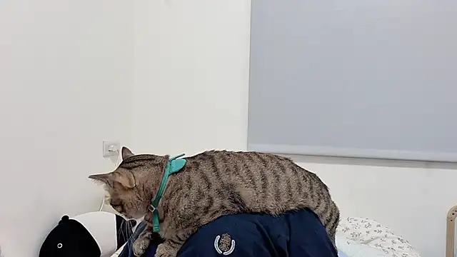 LHeart online show from 5, 4, 2026