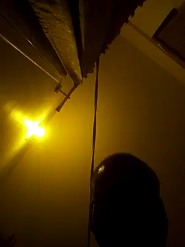 sree4143 online show from 15, 11, 2025