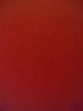 Fox Roxxan online show from 12, 10, 2025