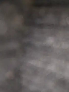 clarabell4 online show from 24, 2, 2026