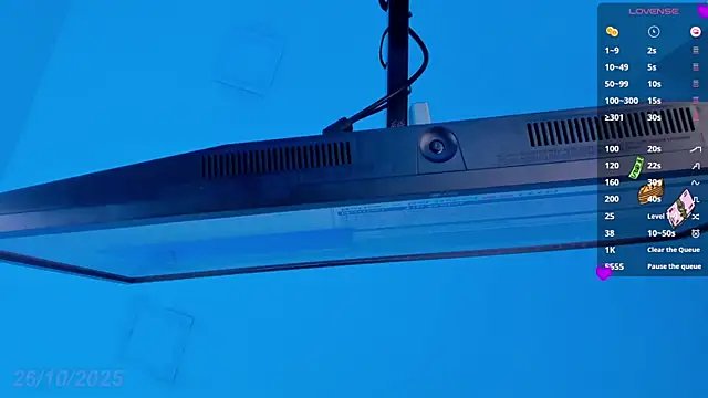 Sebax Young online show from 26, 10, 2025