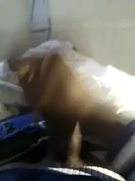 Snapshot of 92donis chatting on 20, 11, 2025 92donis online show from 20, 11, 2025