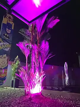 Yessica Lopezz online show from 24, 2, 2026