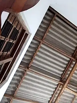 boosypussy online show from 13, 11, 2025