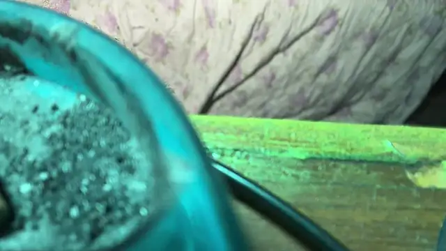 HodgeVibes online show from 21, 4, 2026