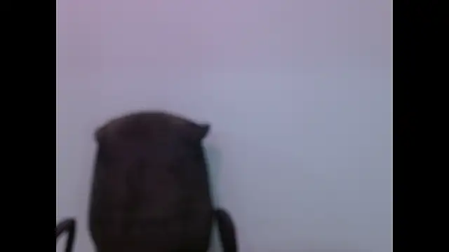 Coralinne   online show from 19, 5, 2026