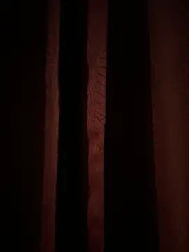 franciscommx online show from 6, 11, 2025