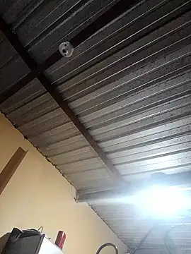 Ortiz3404 online show from 12, 11, 2025