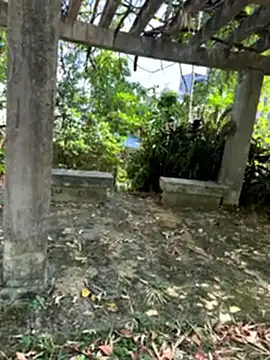 zack23088 online show from 18, 10, 2025