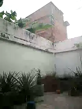 jorge406 online show from 29, 3, 2026