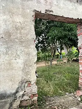 Jacksonfranco online show from 17, 12, 2025