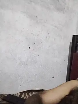 salimbasha online show from 22, 4, 2026