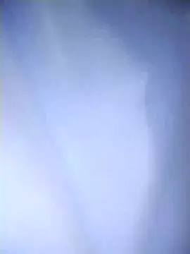salimbasha online show from 3, 7, 2026