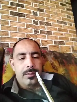 salimbasha online show from 17, 5, 2026