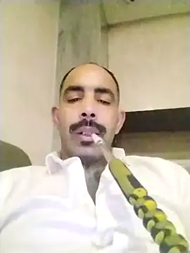 salimbasha online show from 29, 11, 2025