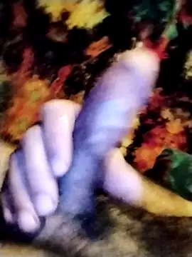 salimbasha online show from 11, 9, 2025