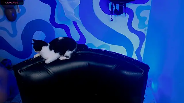 IrisSmil3 online show from 21, 10, 2025