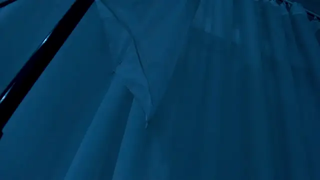 PatyLawrence online show from 17, 1, 2026