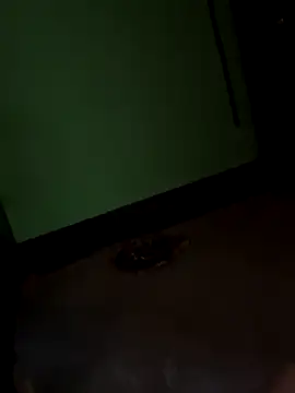 SEXY-SIMI-BHABI online show from 26, 9, 2025