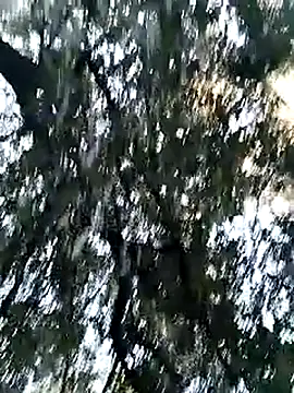 KalendaXL online show from 5, 4, 2026