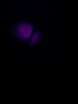 emrekzlk52 online show from 1, 5, 2026