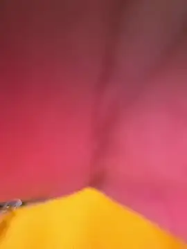 Huitaca  online show from 18, 12, 2025