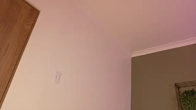 Taylorsmitth  online show from 10, 11, 2025